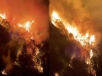 Antalya'da makilik ve ağaçlık alanda yangın