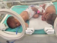 Gazze'de yeni doğan bebekler can çekişiyor