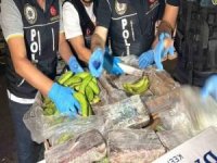 Ekvador'dan gönderilen muz kolilerinin arasında 610 kilogram kokain ele geçirildi