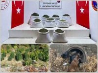 Diyarbakır'da 1 ton esrar 66 bin kök kenevir ele geçirildi