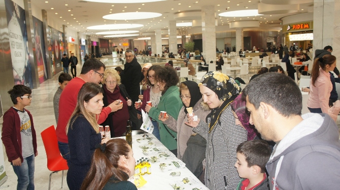 ‘zeytinyagi-pazar-payinin-arttirilmasi’-projesi--001.jpg