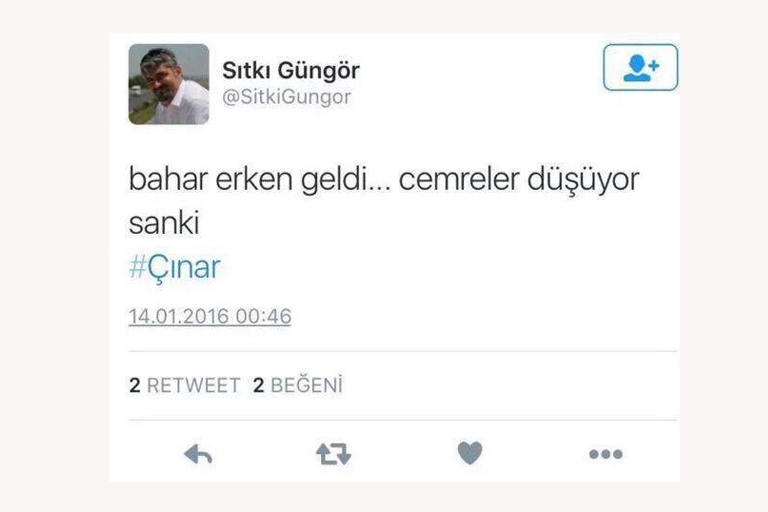 4fec556d911e52e2dd0e.jpg
