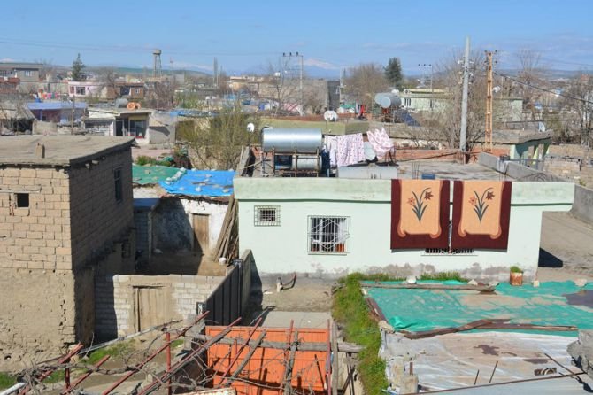 bunu-da-gorduk-;-buyukbas-hayvanlari-caldilar.jpg bunu-da-gorduk-;-buyukbas-hayvanlari-caldilar.jpg