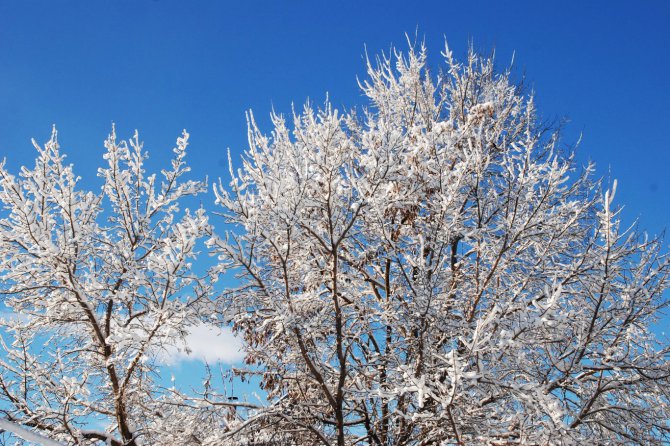 doguda-soguk-hava-etkisini-surduruyor.jpg