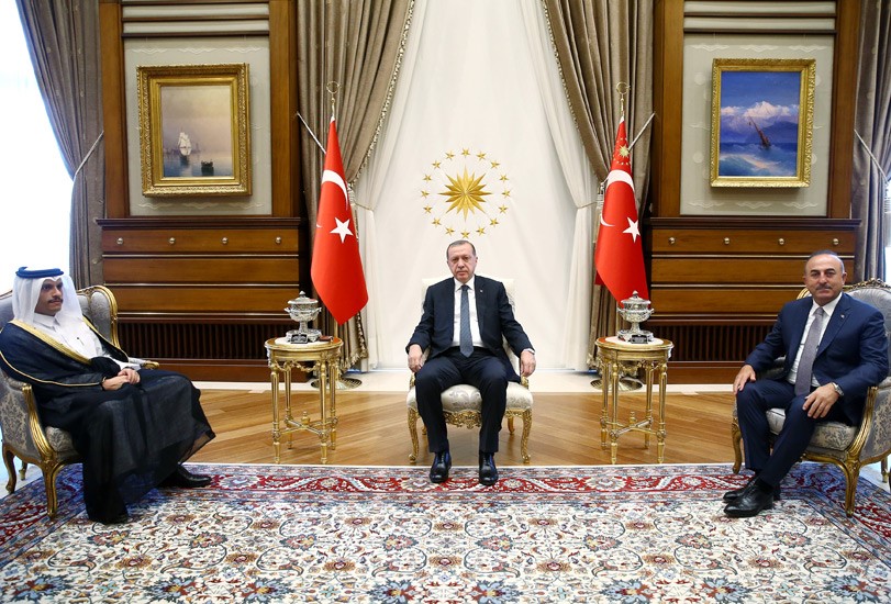 erdogan-el-sani.jpg erdogan-el-sani.jpg