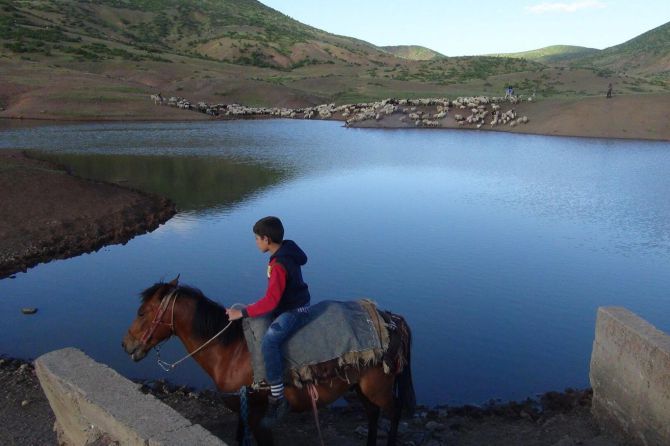 gocerlerin-yayla-yolculugu-basladi-003.jpg