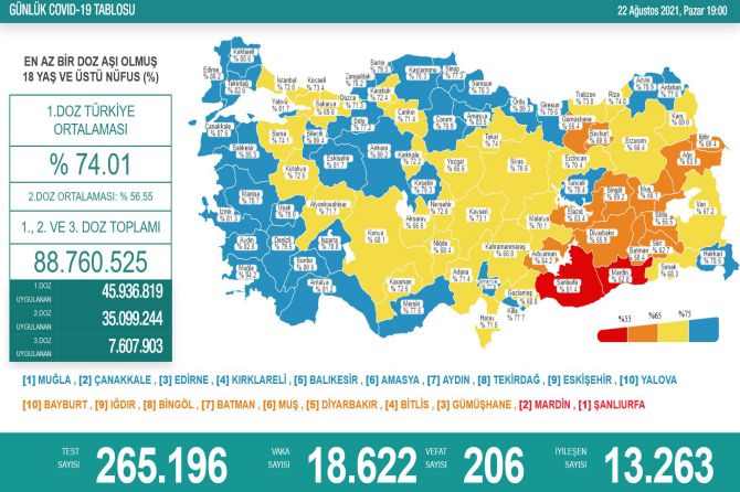 saglik-bakanligi-koronavirus-219.jpg