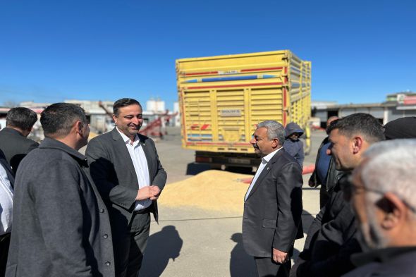 serkan-ramanli-bugdaycilar-pazari.jpg