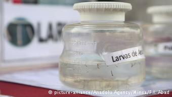 zika-virusu-nedir.JPG